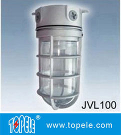 100W 220V ব্রোজেন, গ্রে আইপি 65 ডাই-কাস্ট অ্যালুমিনিয়াম বাষ্প-প্রমাণিত লাইট, এলইডি ফ্লাড লাইট