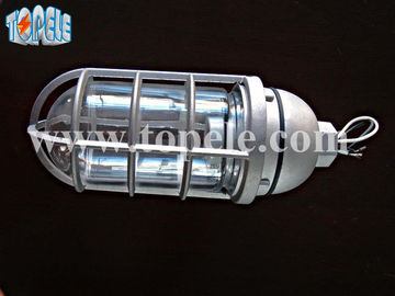 100W 220V ব্রোঞ্জেন গ্রে আইপি 65 বাষ্প প্রতিরোধী লাইট ডাই - কাস্ট অ্যালুমিনিয়াম